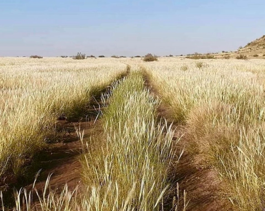 0 Bedroom Property for Sale in Upington Rural Northern Cape